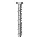 08/10 X 100 AnkerBolt Hex Head PK10