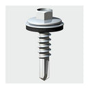 5.5 X 50 Self Drill Light Section C/W 16MM Washer T21GB16-100 PK100